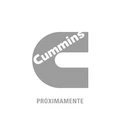 cummins_medium_1